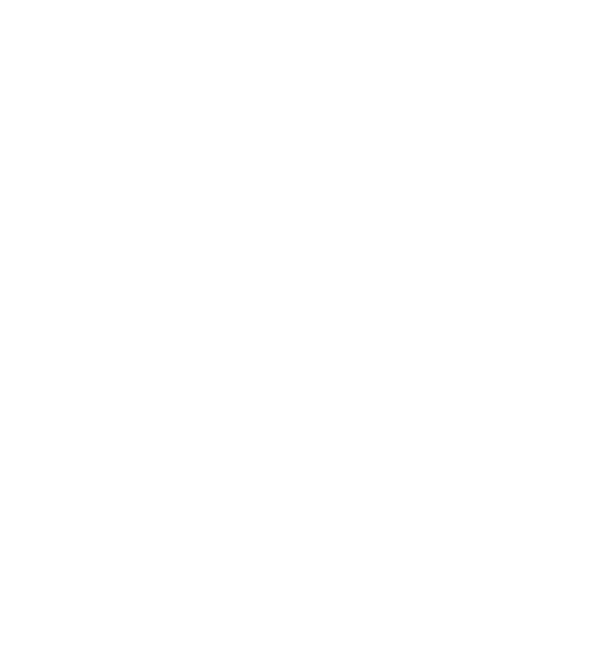 Бином
